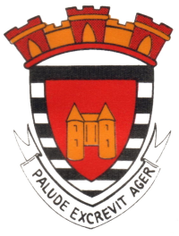 Palluau_Blason.png