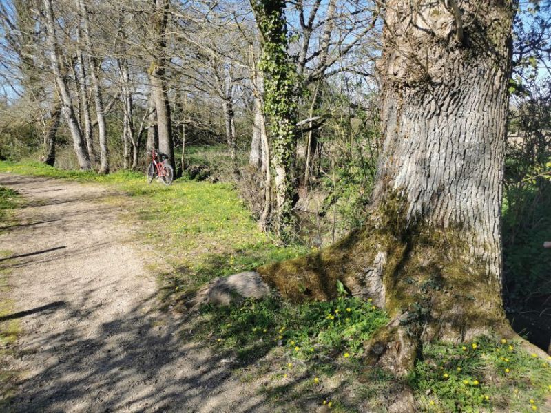 chemin du Rigolly.jpg