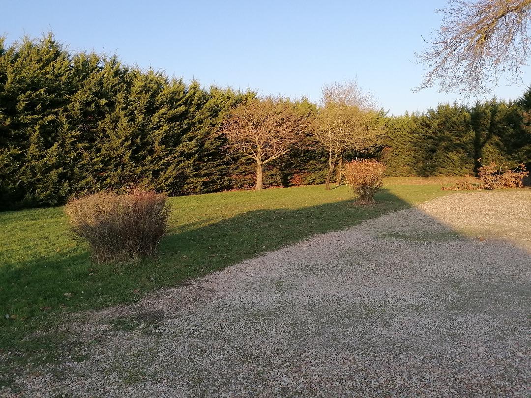 salle des fetes 3.jpg