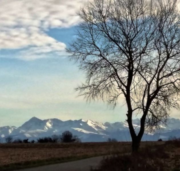 les pyrénées.jpg