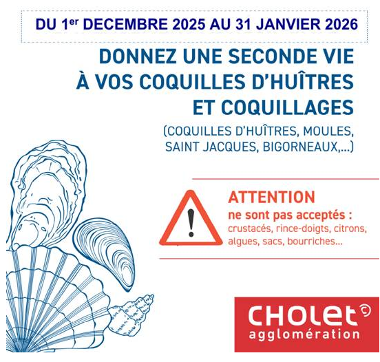 Capture d_écran 2025-12-24 100916.png