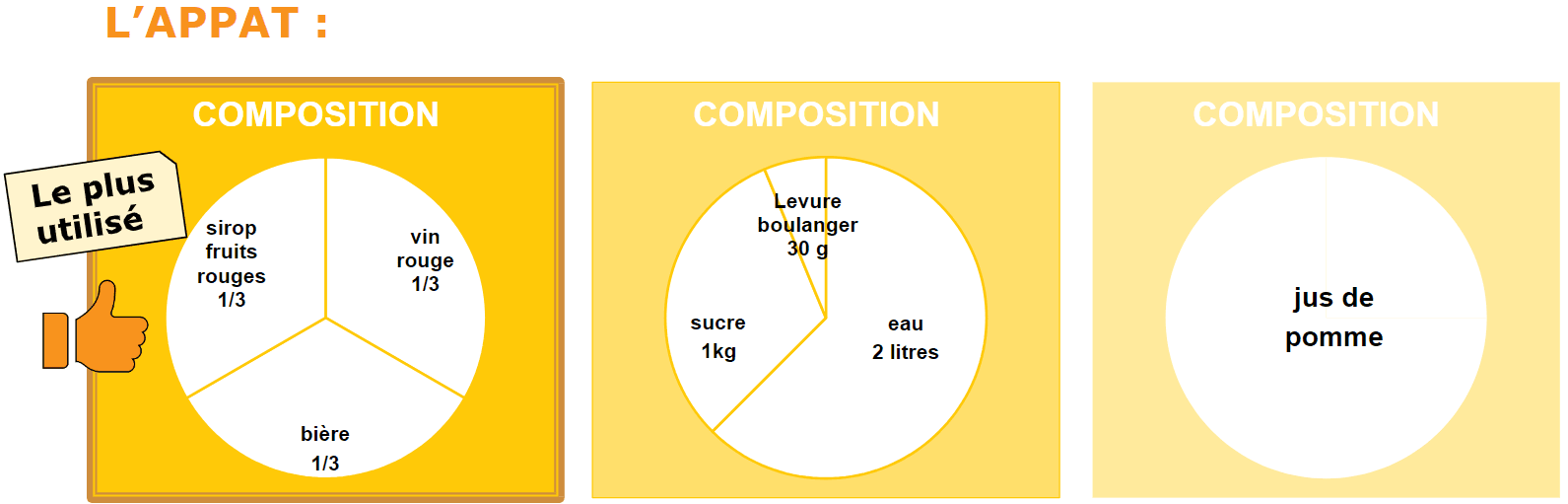 appat frelon asiatique.png