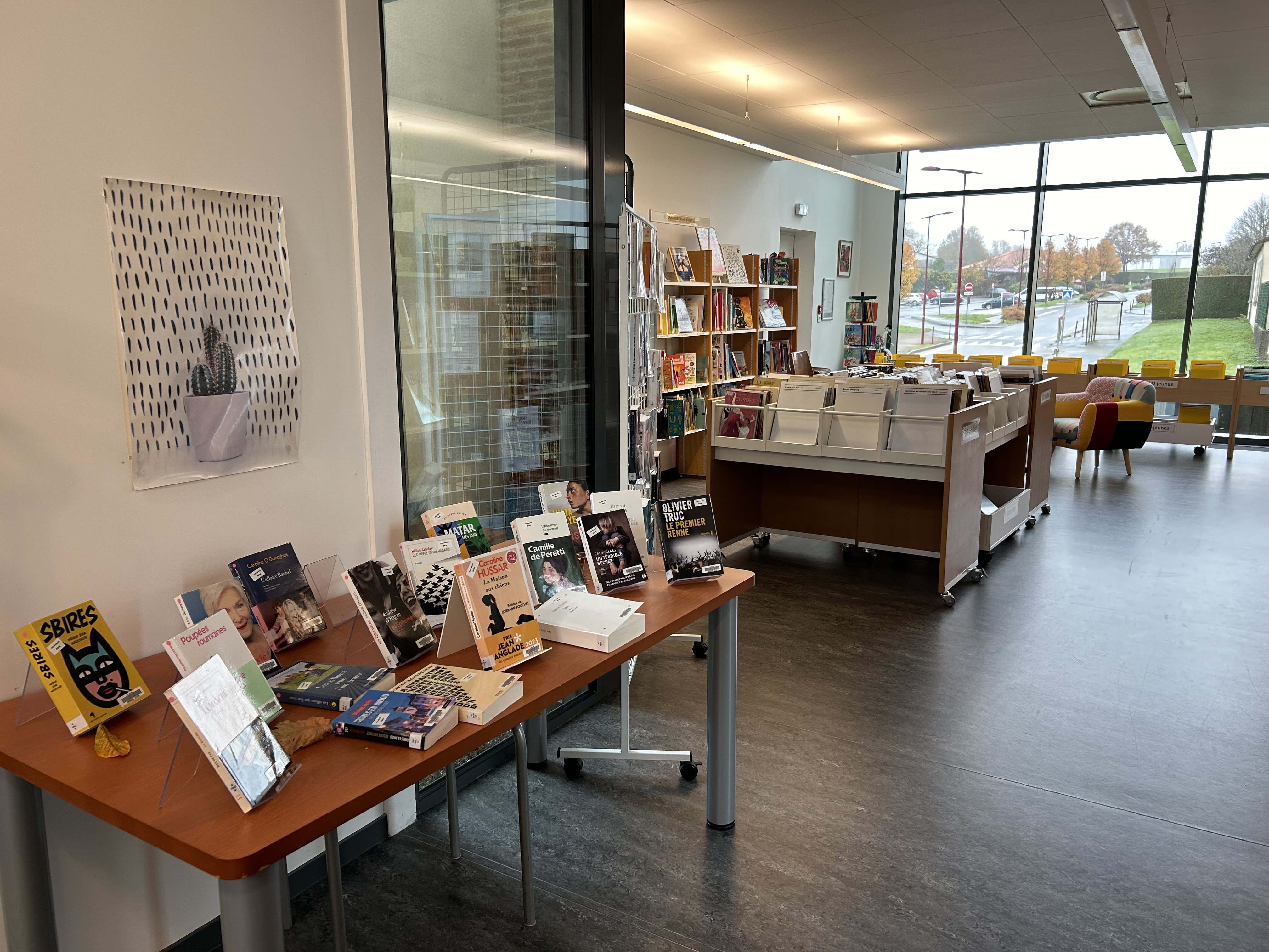 bibliothèque 2.jpg