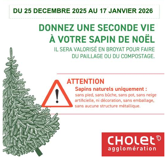 Capture d_écran 2025-12-24 100856.png