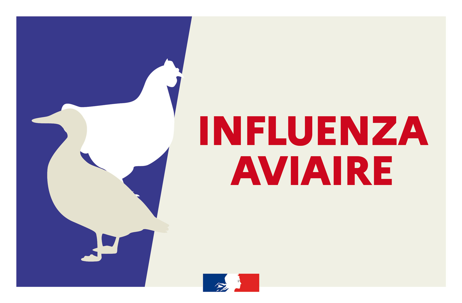 influenza-aviaire-vigilance.jpg