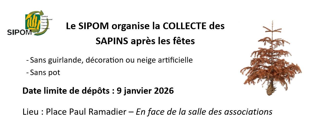 Collecte sapins 2025.png