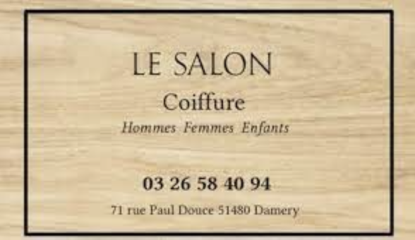 le salon de coiffure.png