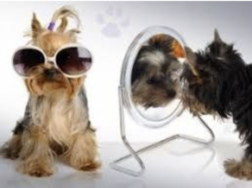 label et l a bete.png