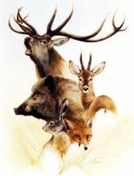 chasse.jpg
