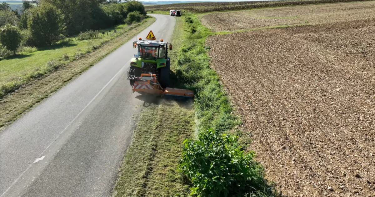 photo retard de fauchage.jpg