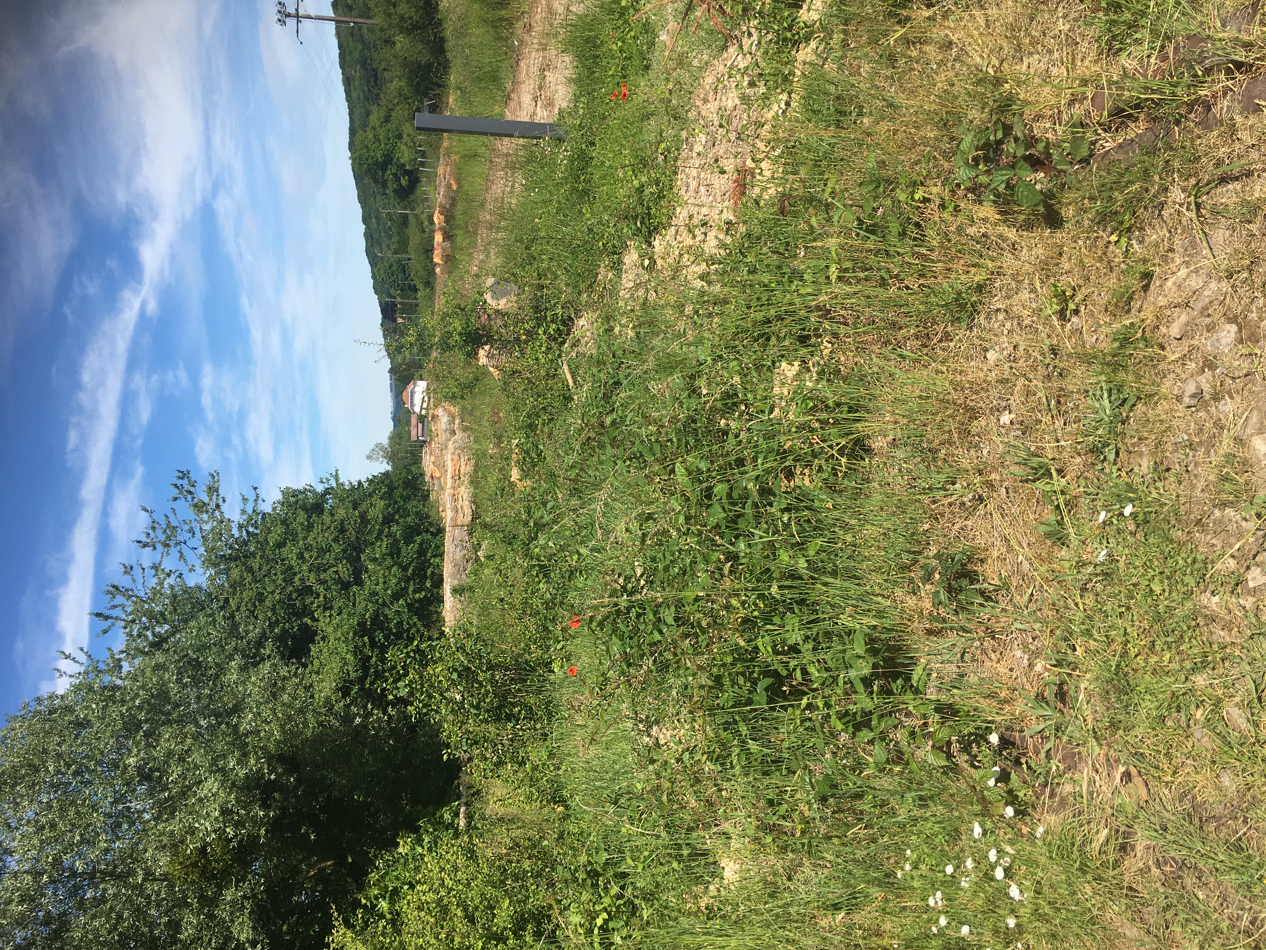 IMG_5805-Vilosnes-PAN Lopez vers sud.JPG