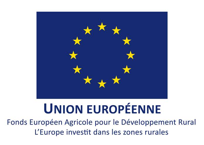 Logo-UE-web lac vert.jpg