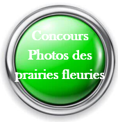 Capture d_écran 2025-12-09 160127.png