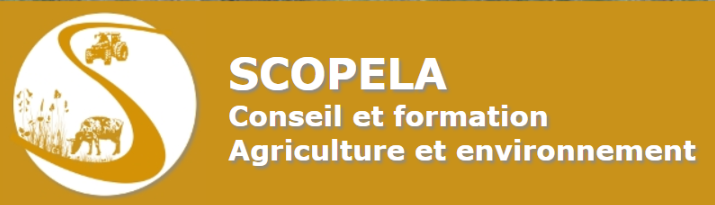 SCOPELA logo.png