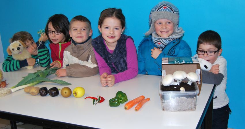 Activités Périscolaires