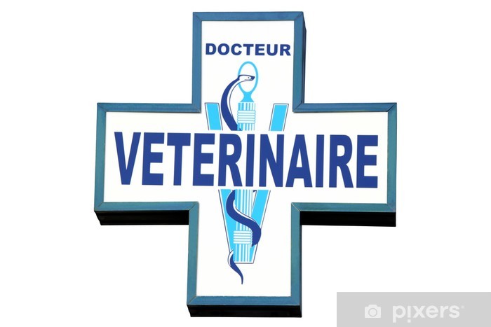 docteur-veterinaire.jpg.jpg