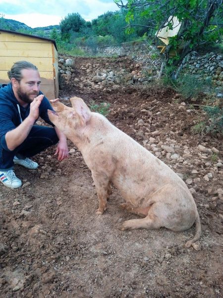Ferme de Roubials.jpg