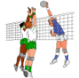 Volley ball.png