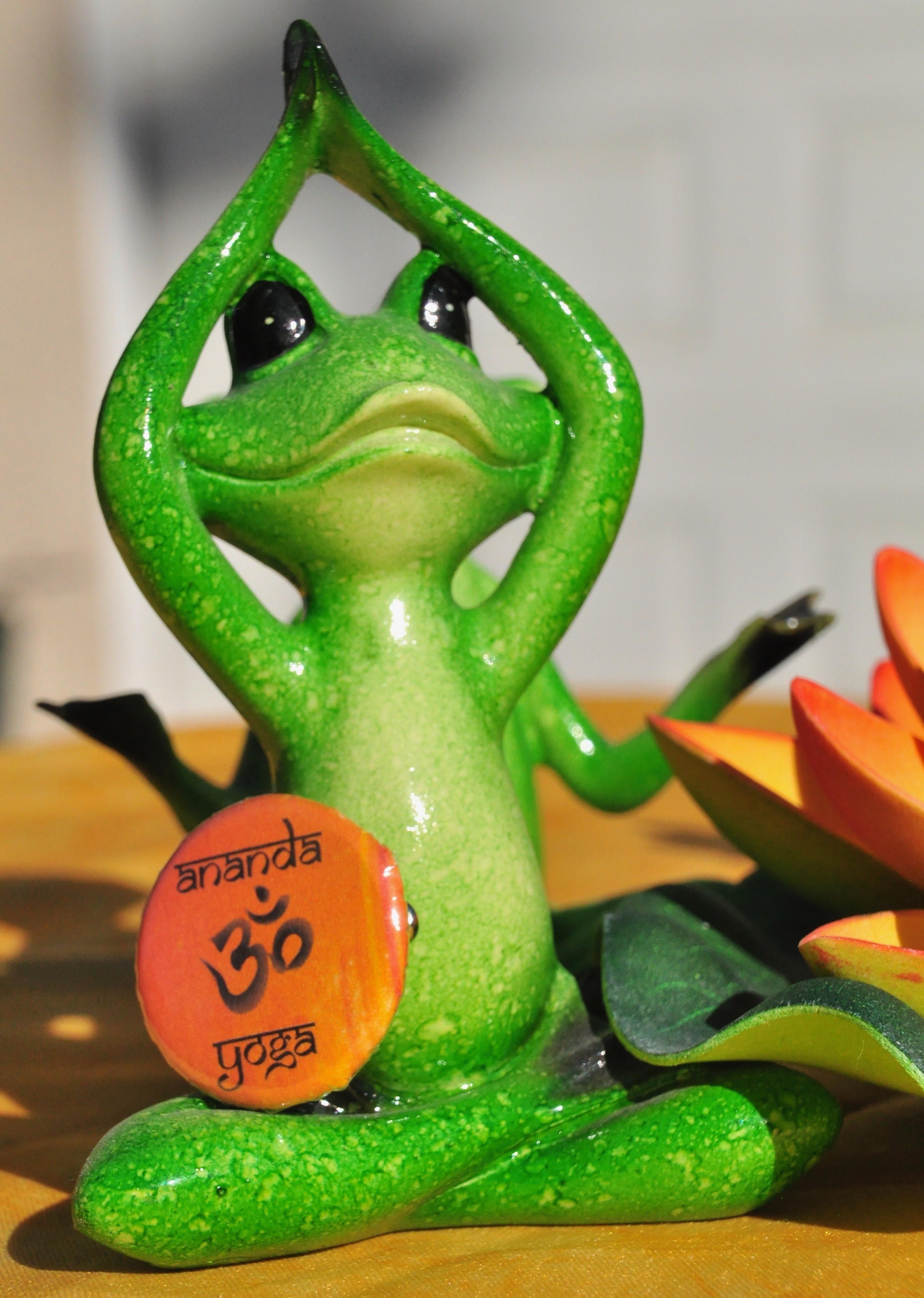 Ananda yoga.jpg