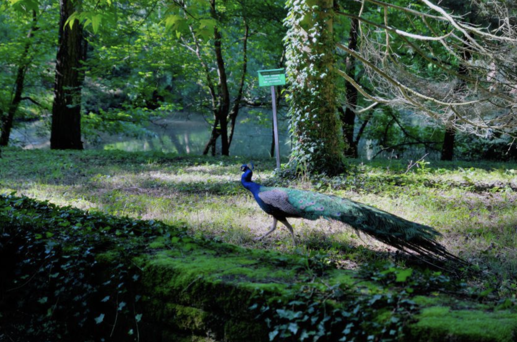 Site de la Canardière 5/12