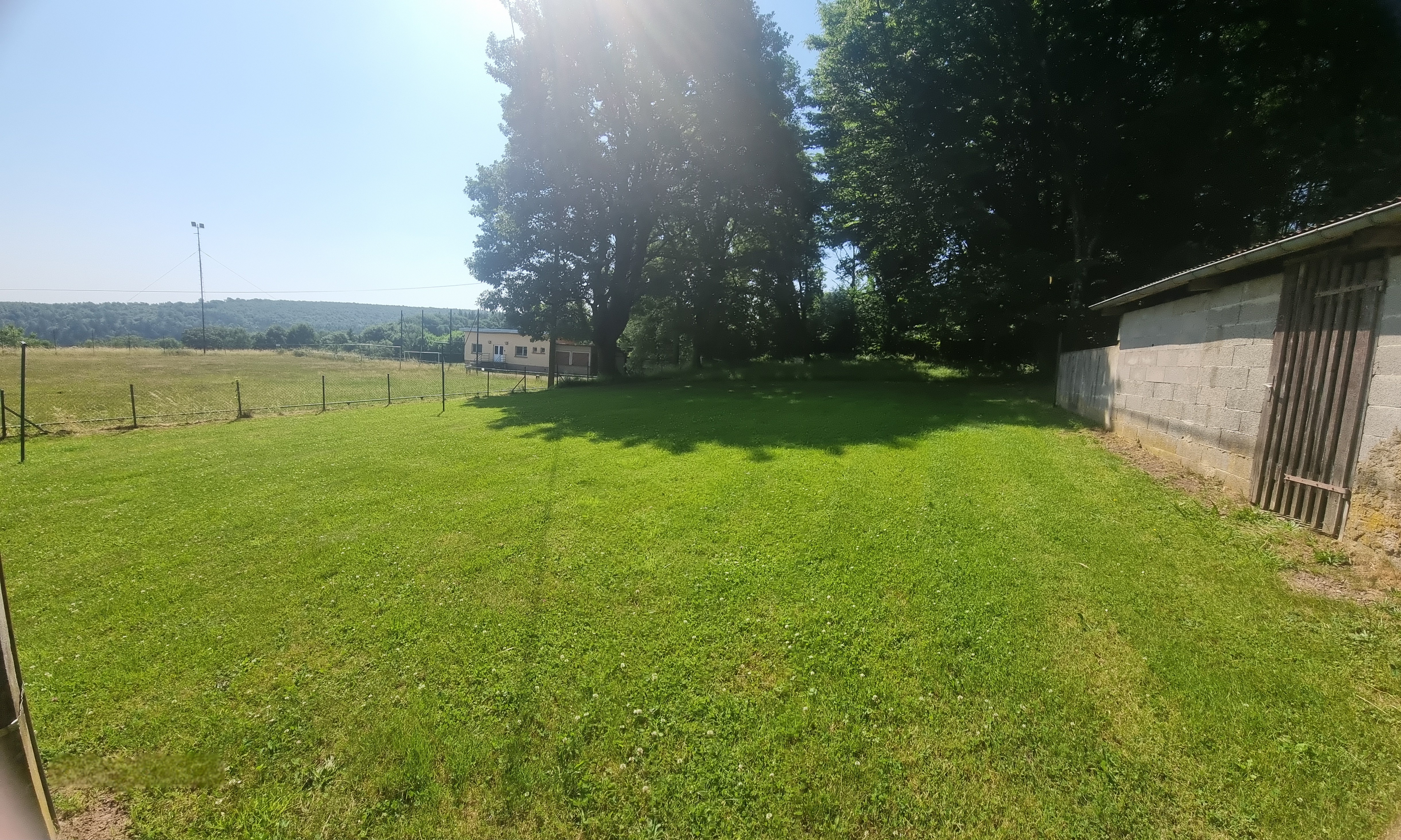 20250619_110553.jpg