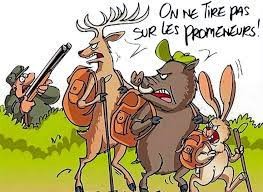 ouverture chasse.jpg