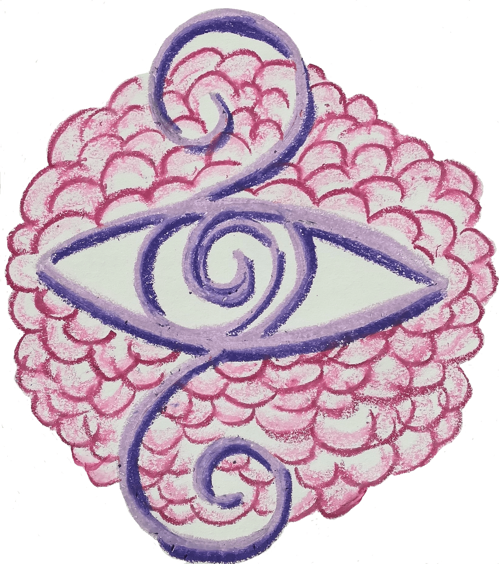 logo Alchemilla rosae sans fond.png