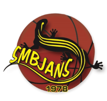 logo basket.png