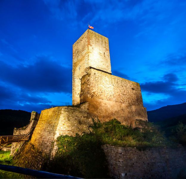 twzy4fn87qh8dd _1_.jpeg