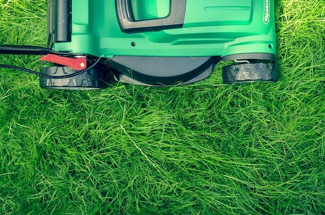grass-1840929_640.jpg