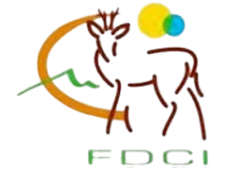 Logo ACCA vecteur