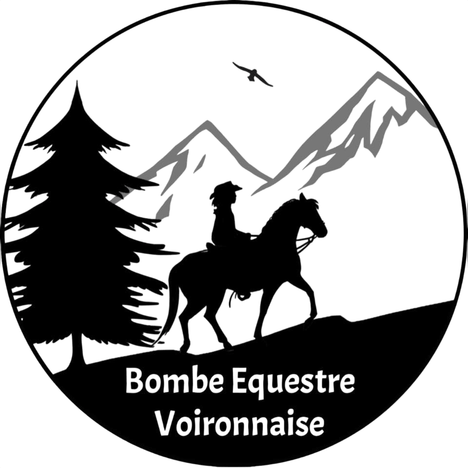 Logo BEV vecteur