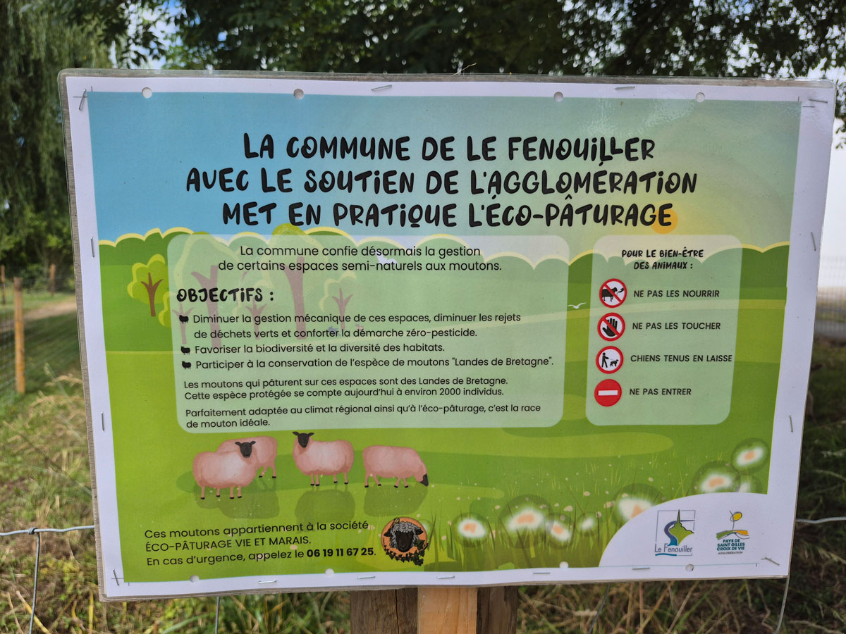 7-ecopaturage.jpg