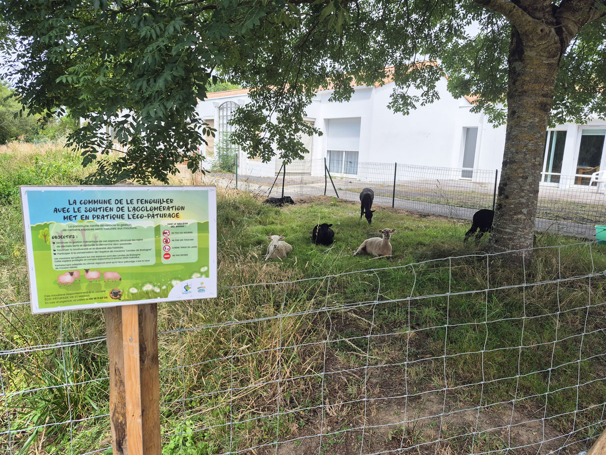 6-ecopaturage.jpg