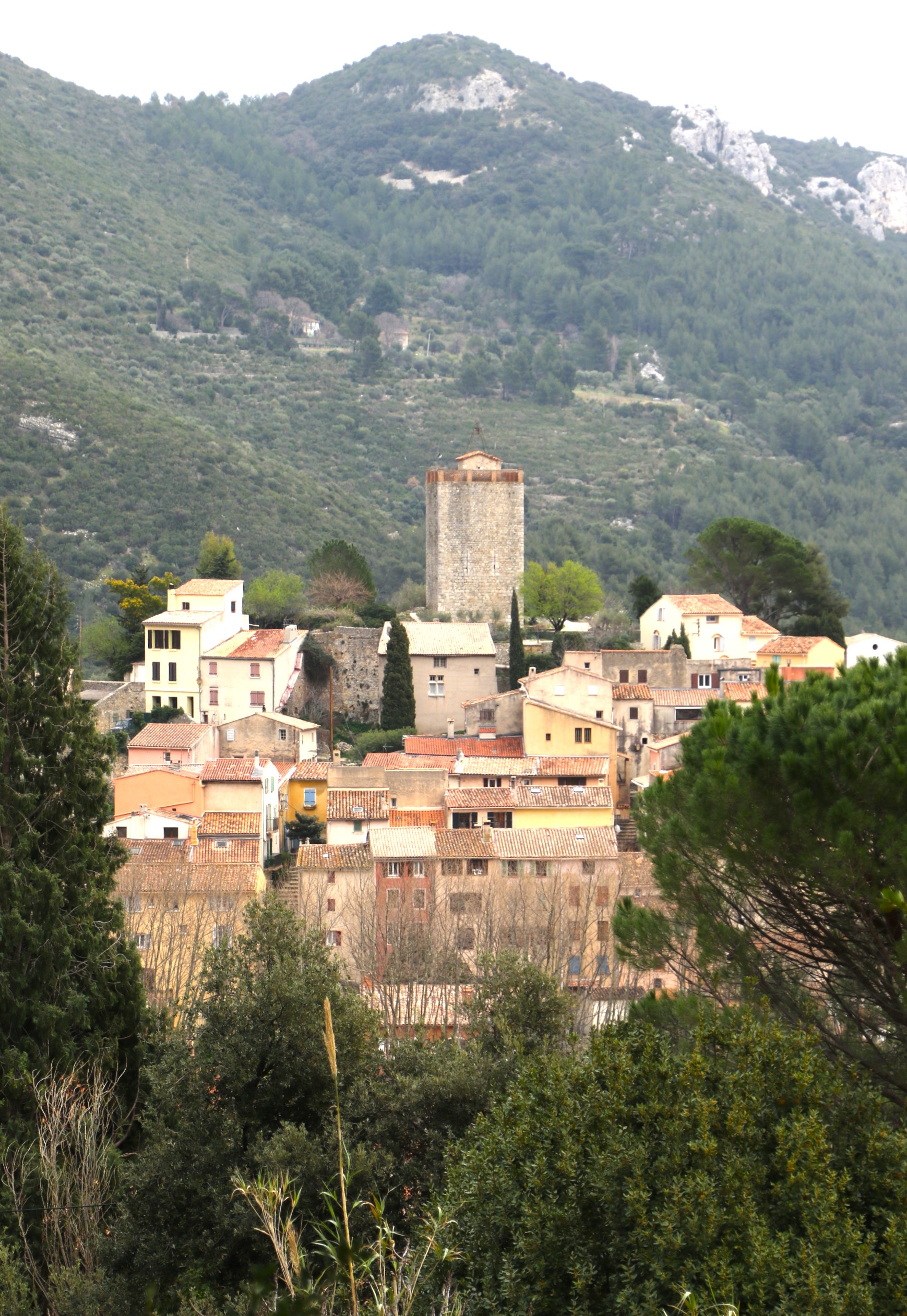 vue village tour aa.JPG