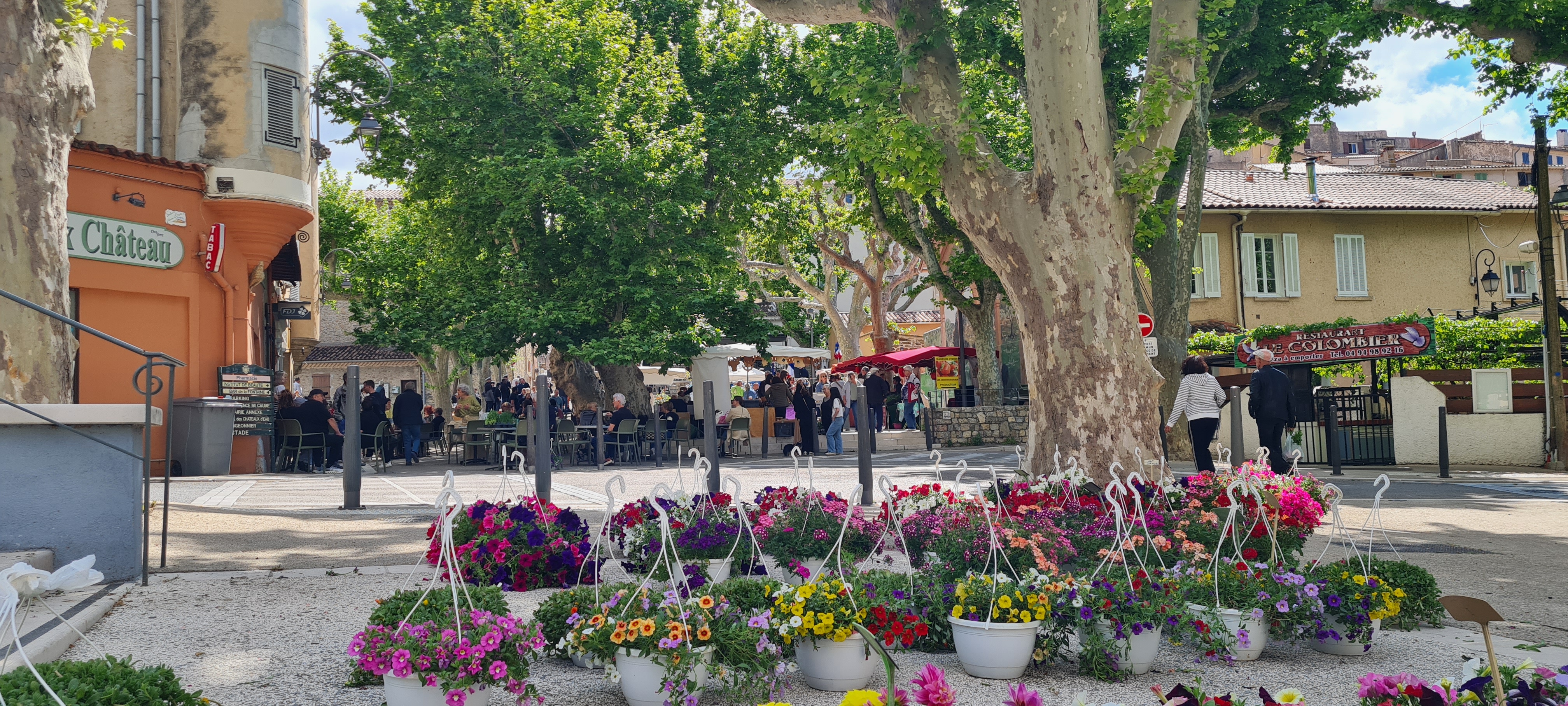 foire aux plants.jpg