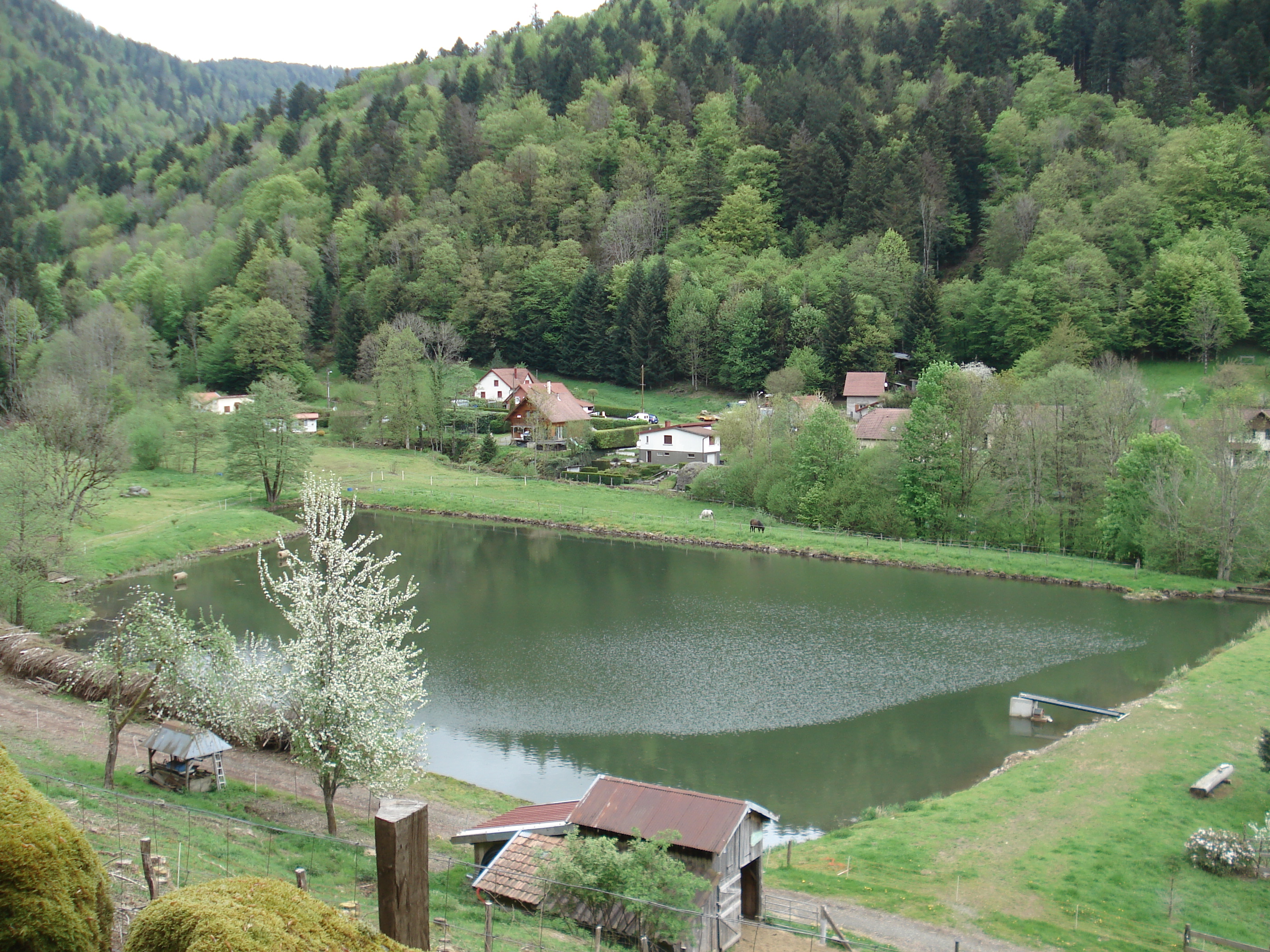 Etang de Chauveroche.JPG