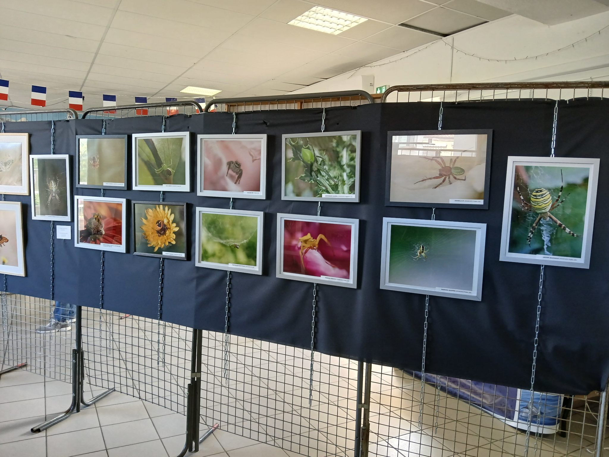 Expo Mairie 1.jpg