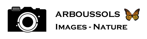ARBOUSSOLS IMAGE NATURE logo.jpg