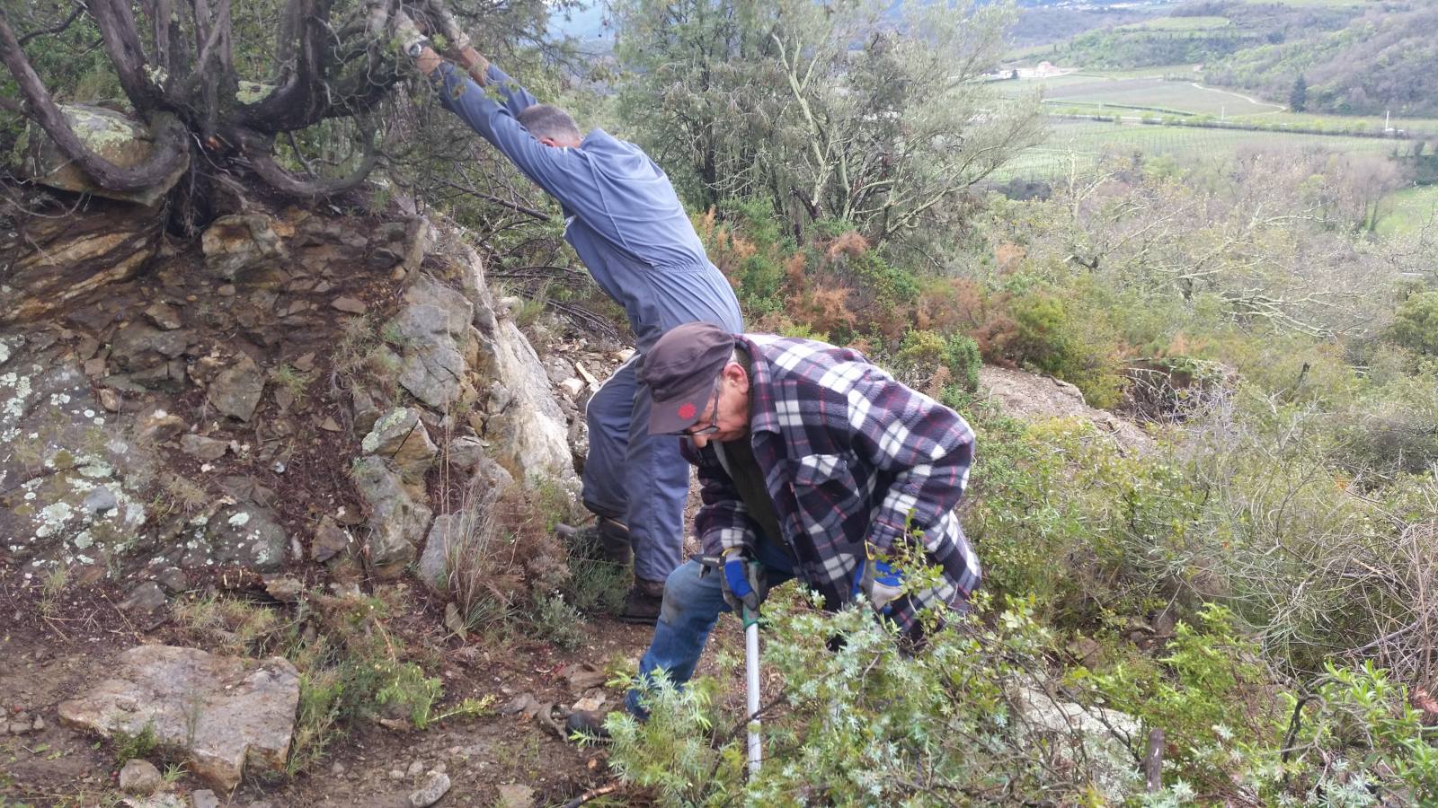 20170325 - ELS ORRIS I CAMINS DEL ROC REDOUN - 1.jpg