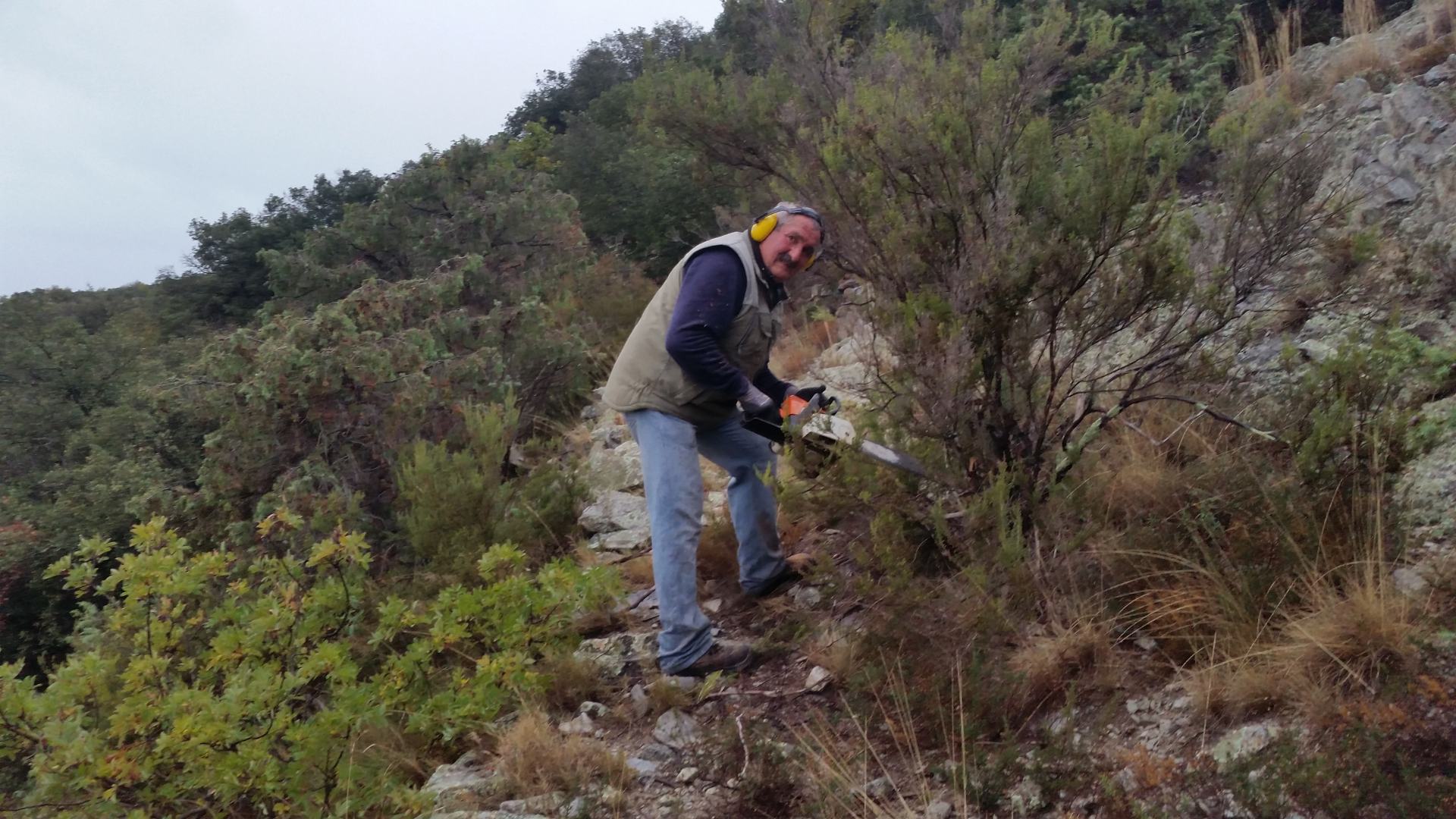 20161113 - ELS ORRIS I CAMINS DEL ROC REDOUN.jpg