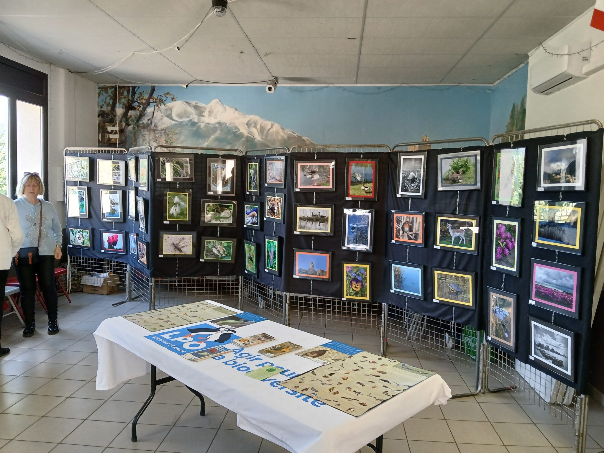 Expo Mairie 2.jpg