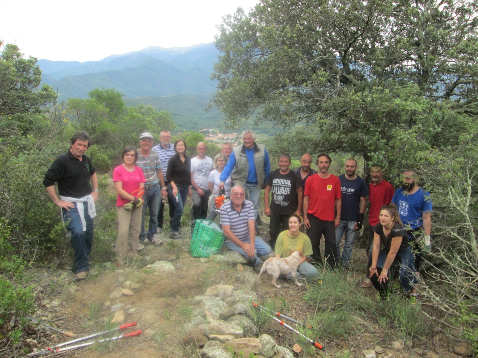 ELS ORRIS I CAMINS DEL ROC REDOUN.jpg