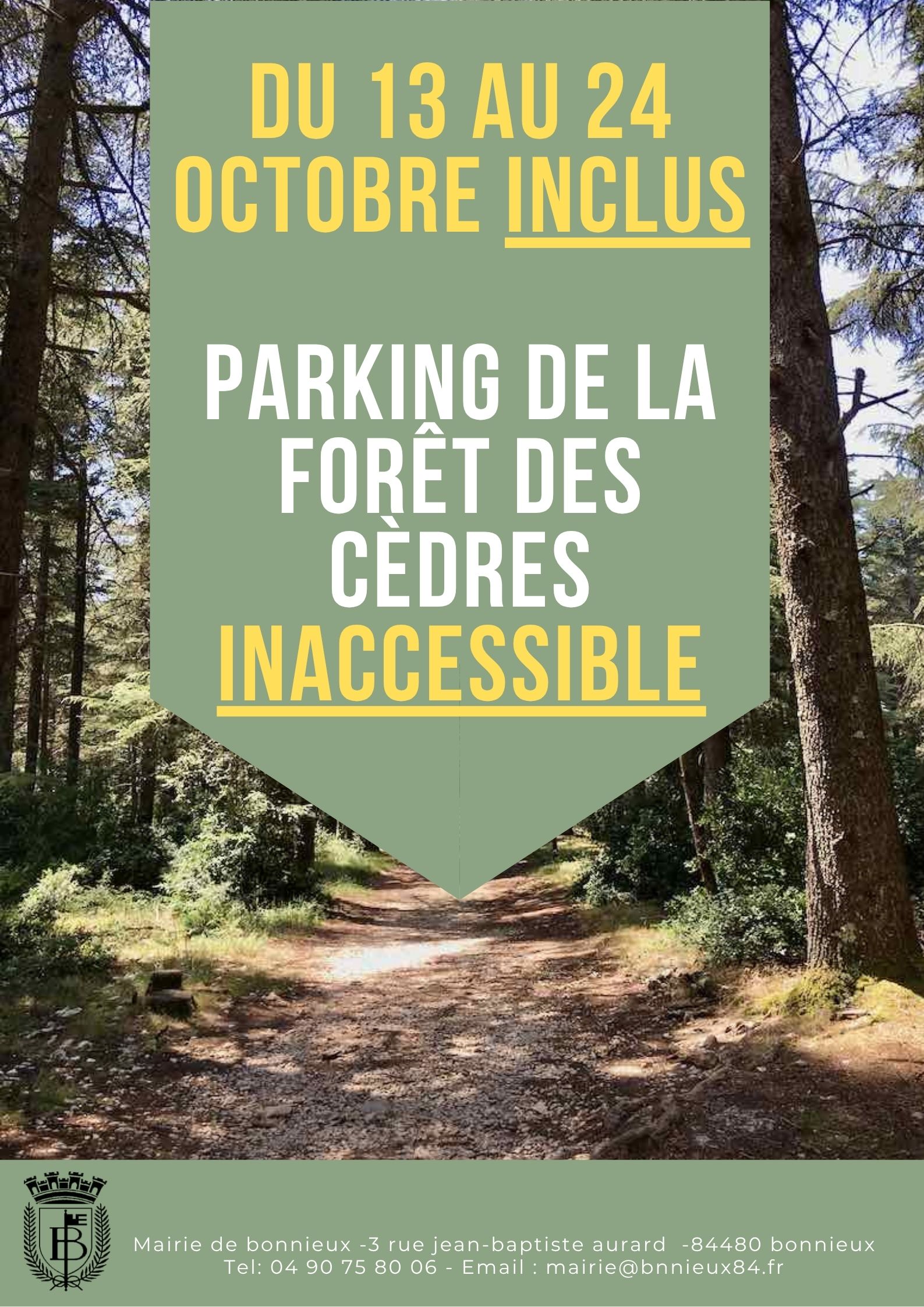 Vert Nature Forêt Journée de la terre Affiche.jpg
