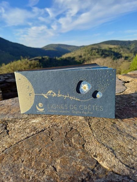 Lignes de Crêtes.jpg