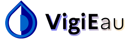LOGO VIGIEAU.png
