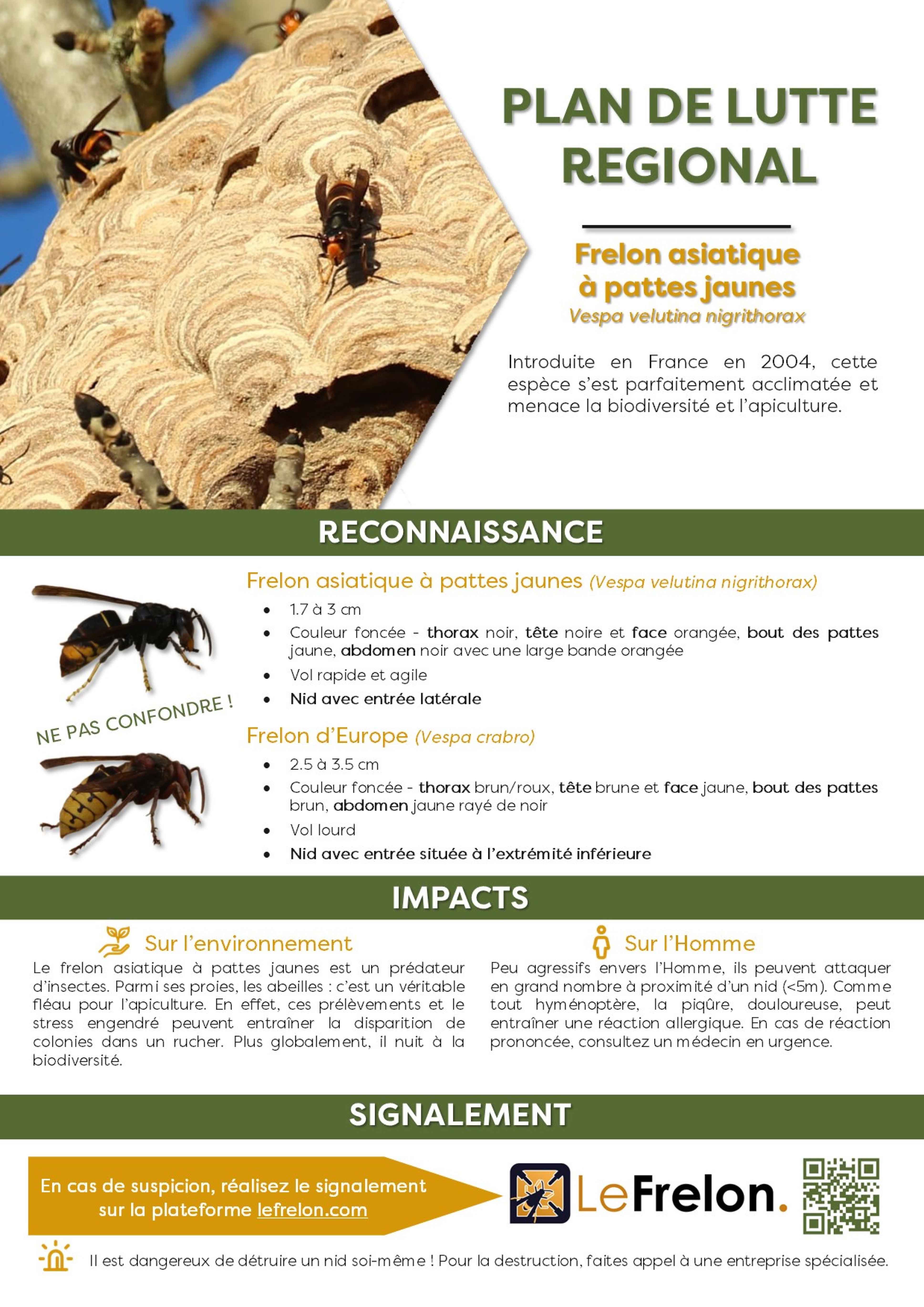 Plan de lutte frelon-1.jpg