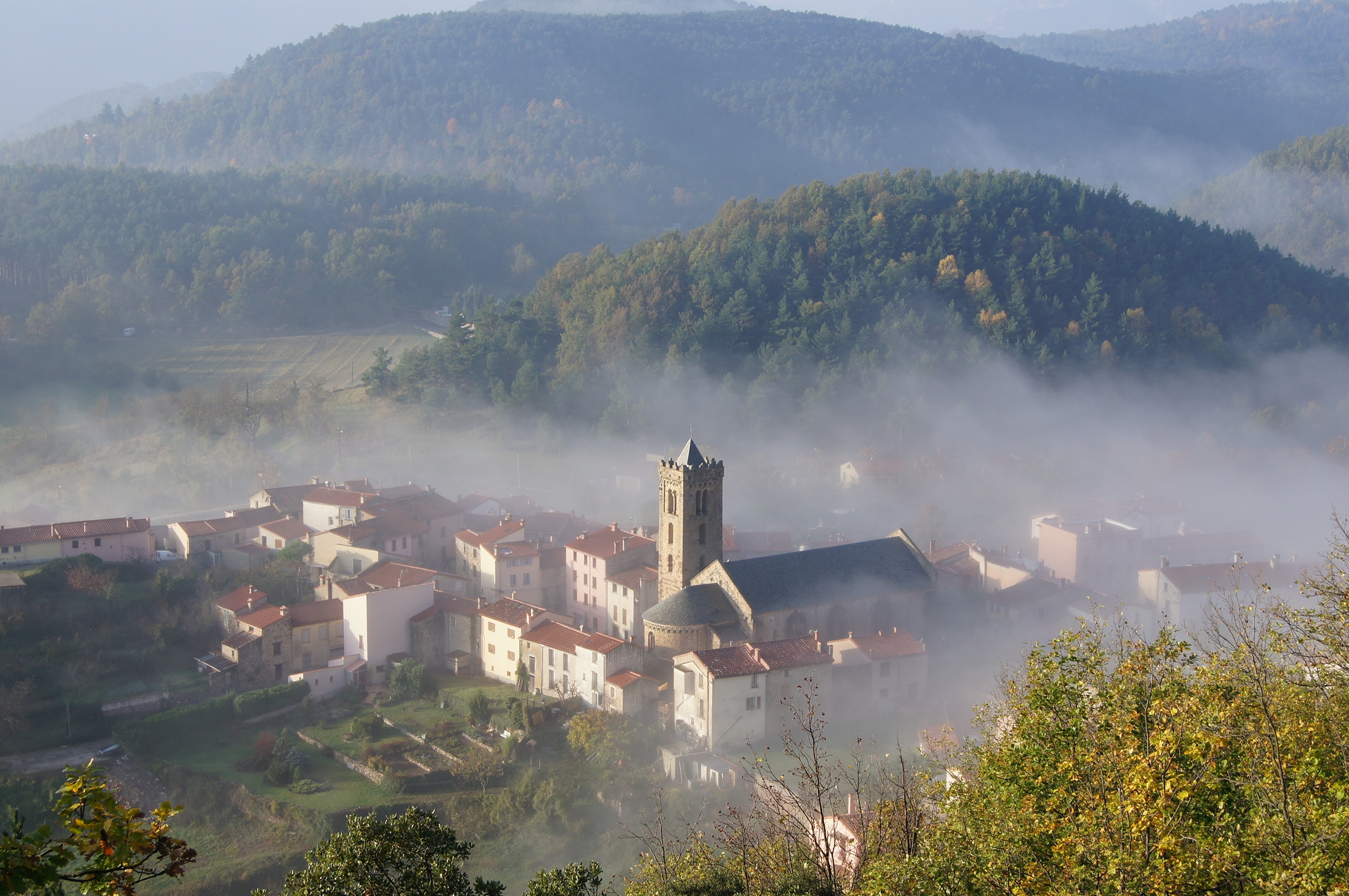 COUSTOUGES BRUME.jpg