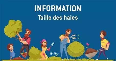 taille des haies.jpeg