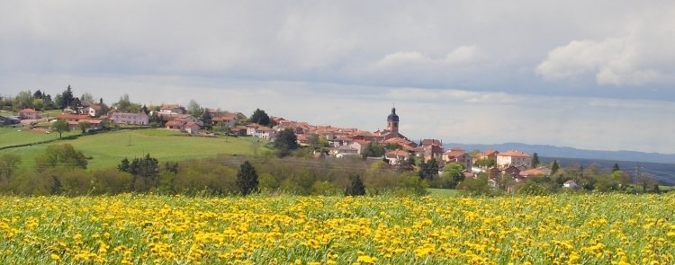 panorama2.jpg